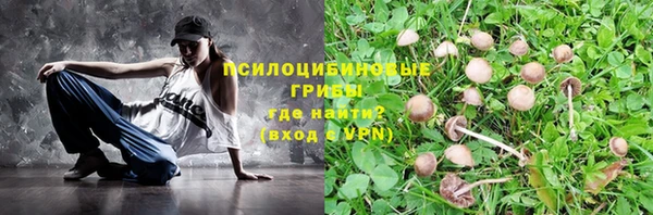МДМА Горнозаводск