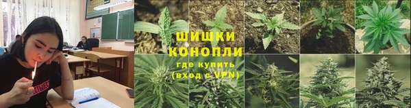 спайс Нея